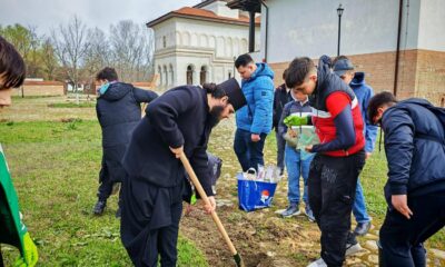Plantare de arbori la Mănăstirea Măxineni