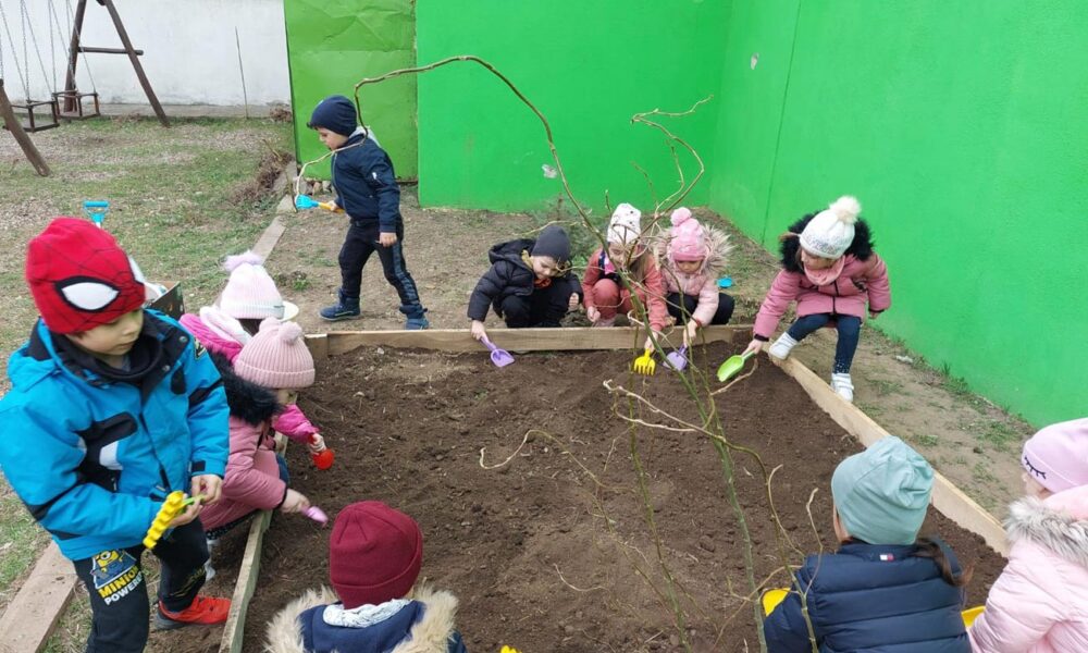 Premieră la Brăila: Grădinița cu Program Prelungit nr. 37 devine prima ”Grădiniță Eco” din județ
