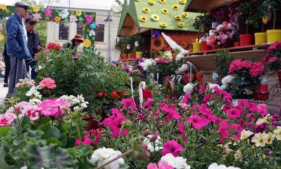 Festivalul Florilor de Primăvară, în Centrul Vechi al Brăilei