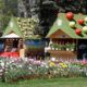 Festivalul Florilor de Primăvară, în Centrul Vechi al Brăilei