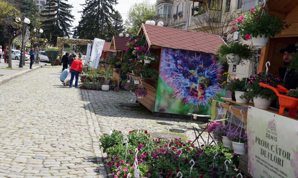 Festivalul Florilor de Primăvară, în Centrul Vechi al Brăilei