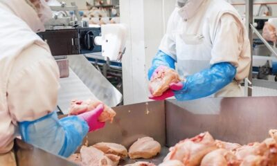 În perioada dinaintea Paștelui, inspectorii veterinari au dat amenzi de peste 32.000 de lei