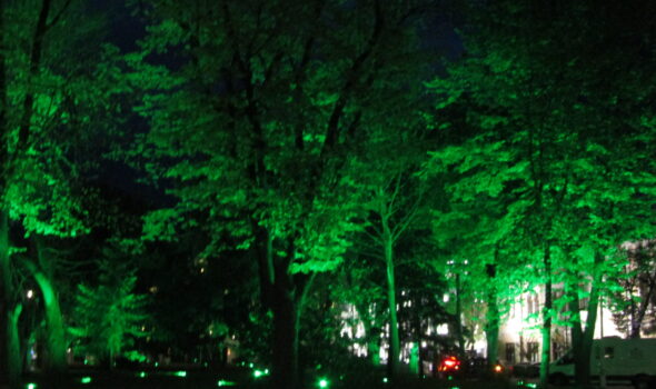 Feeria luminilor, în Piața Traian