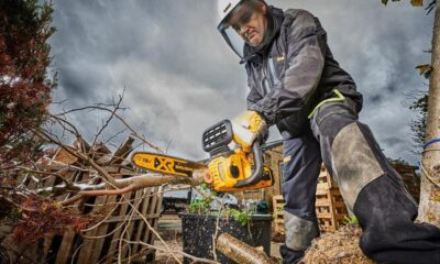 Distribuitorii de scule electrice și motoferăstraie, în vizorul inspectorilor ITM