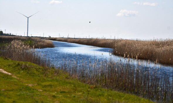 Locurile sălbatice din Brăila: întâlniri unice cu oameni deosebiți!