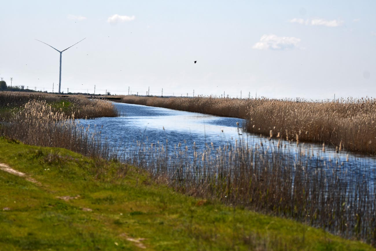 Locurile sălbatice din Brăila: întâlniri unice cu oameni deosebiți!