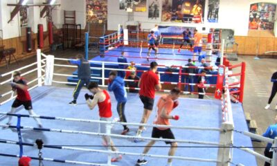 CSM Brăila dă ora exactă în boxul național