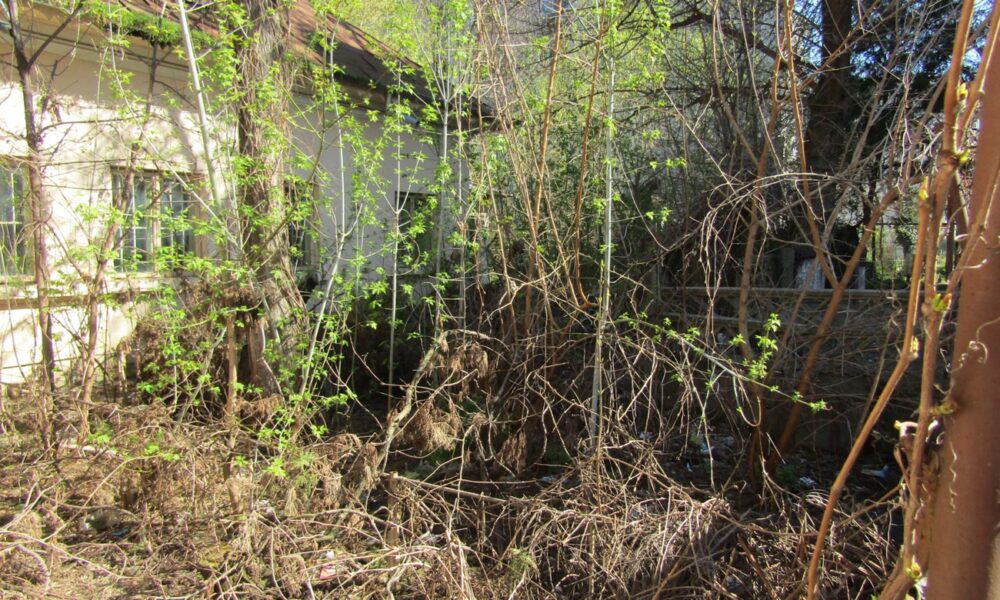 “Șerpăria” din curtea Domeniilor Statului