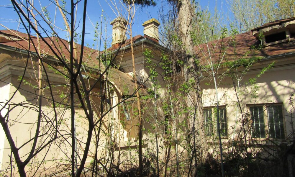 “Șerpăria” din curtea Domeniilor Statului