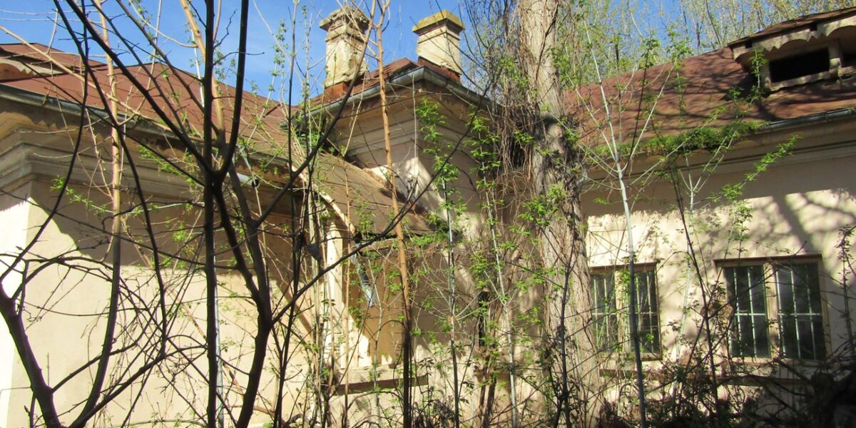 “Șerpăria” din curtea Domeniilor Statului