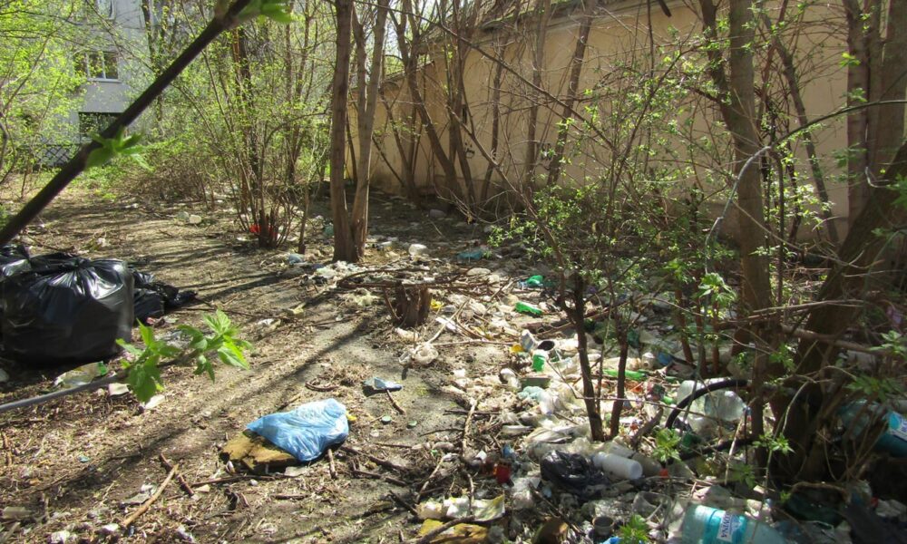 “Șerpăria” din curtea Domeniilor Statului