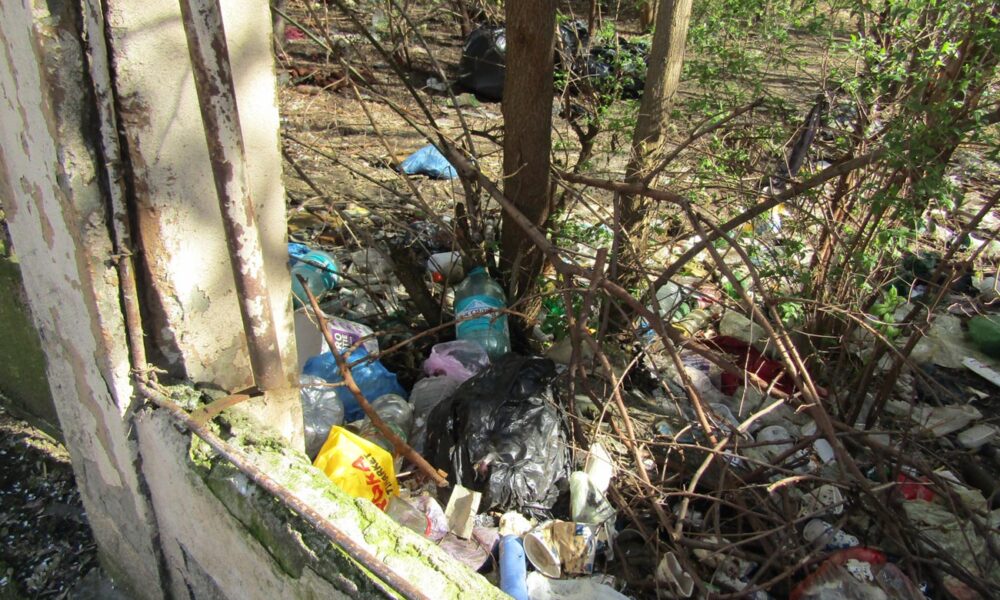 “Șerpăria” din curtea Domeniilor Statului