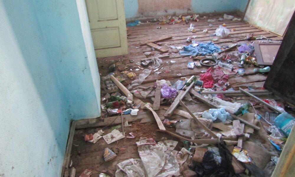 “Șerpăria” din curtea Domeniilor Statului