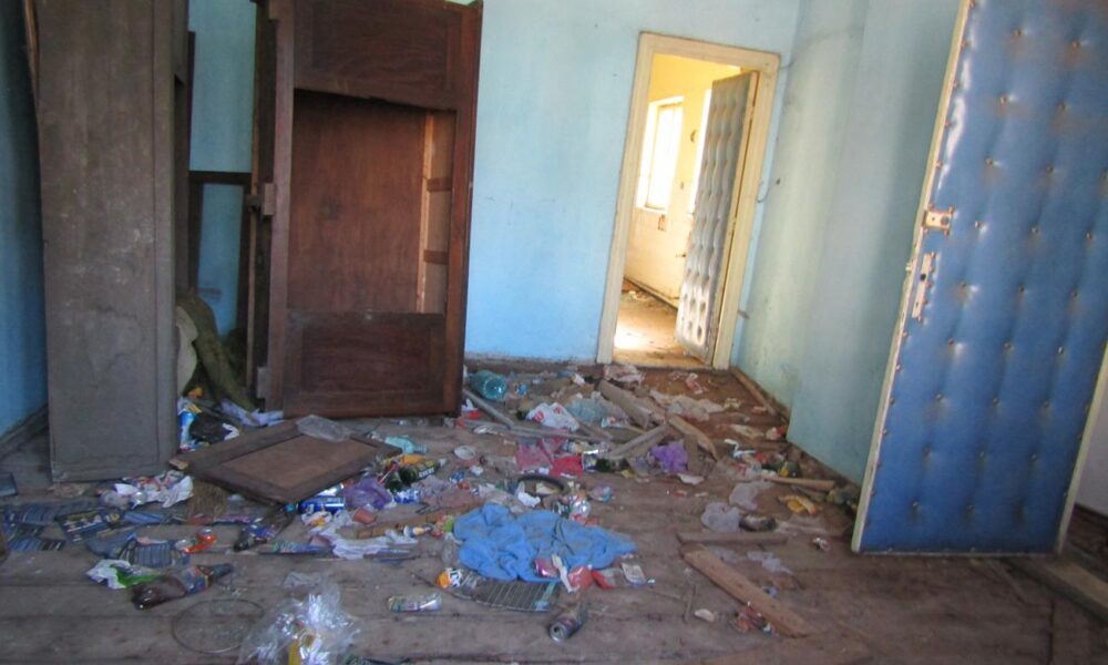 “Șerpăria” din curtea Domeniilor Statului