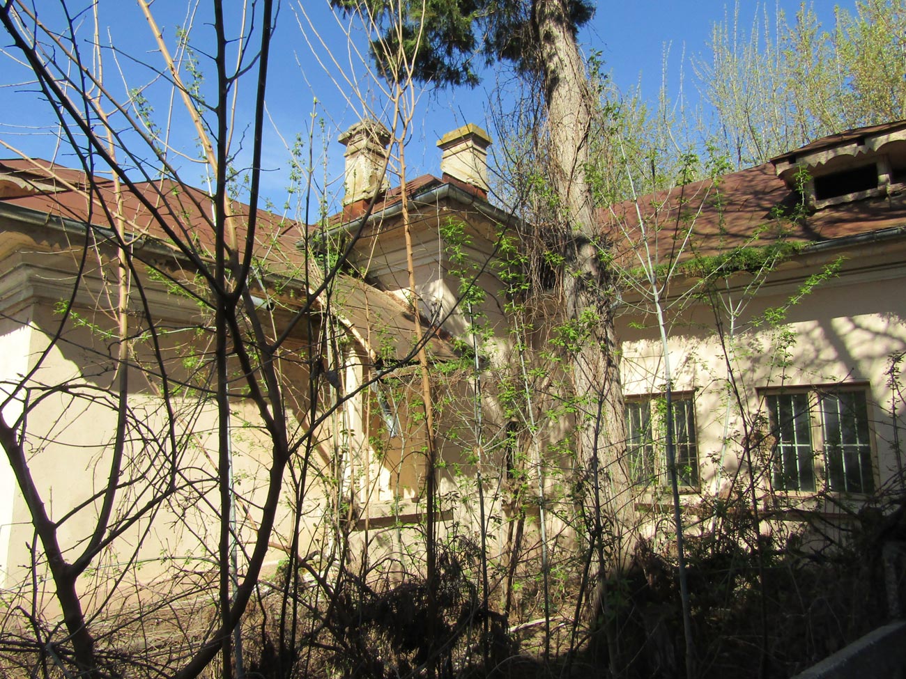 “Șerpăria” din curtea Domeniilor Statului