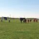 Fotbal Liga a V-a. Meciuri spectaculoase, cu răsturnări de scor în etapa a 19-a
