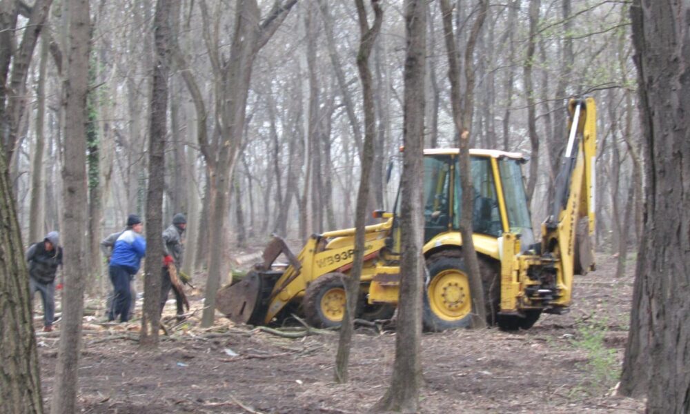 Lucrări în Parcul Monument. Este scoasă la lumină ”jungla” din zona Secției Științele Naturii