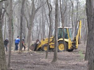 Lucrări în Parcul Monument. Este scoasă la lumină ”jungla” din zona Secției Științele Naturii