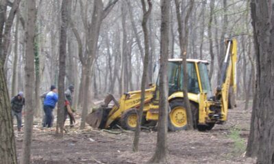 Lucrări în Parcul Monument. Este scoasă la lumină ”jungla” din zona Secției Științele Naturii