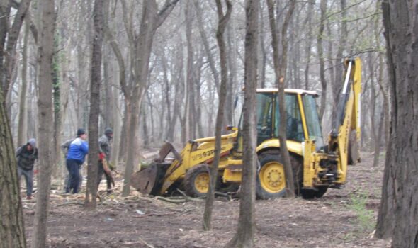 Lucrări în Parcul Monument. Este scoasă la lumină ”jungla” din zona Secției Științele Naturii