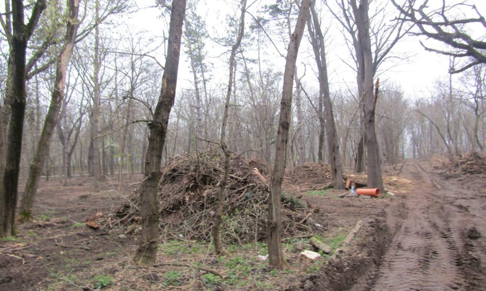 Lucrări în Parcul Monument. Este scoasă la lumină ”jungla” din zona Secției Științele Naturii
