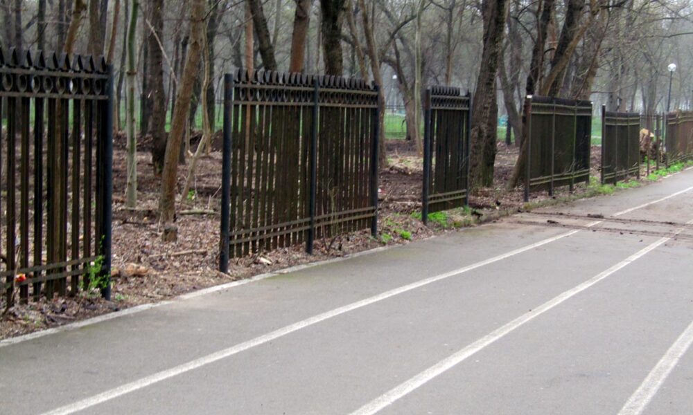 Lucrări în Parcul Monument. Este scoasă la lumină ”jungla” din zona Secției Științele Naturii