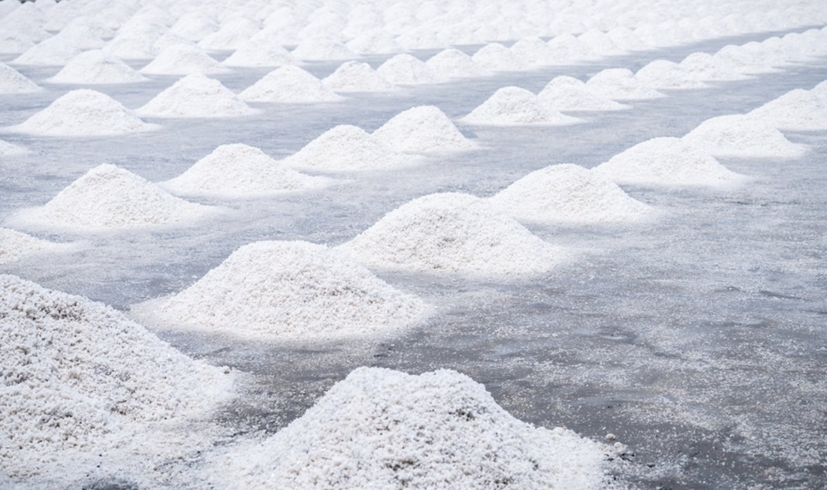 Criza salinizării: de ce apa potabilă devine tot mai sărată la nivel global