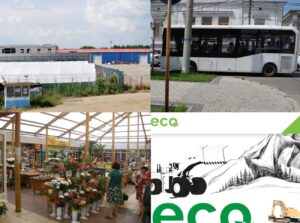 Decizia Primăriei Brăila. Societățile din subordine vor fi menținute în activitate