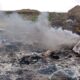 incendiu deseuri