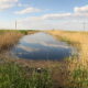canalul comaneasca braila