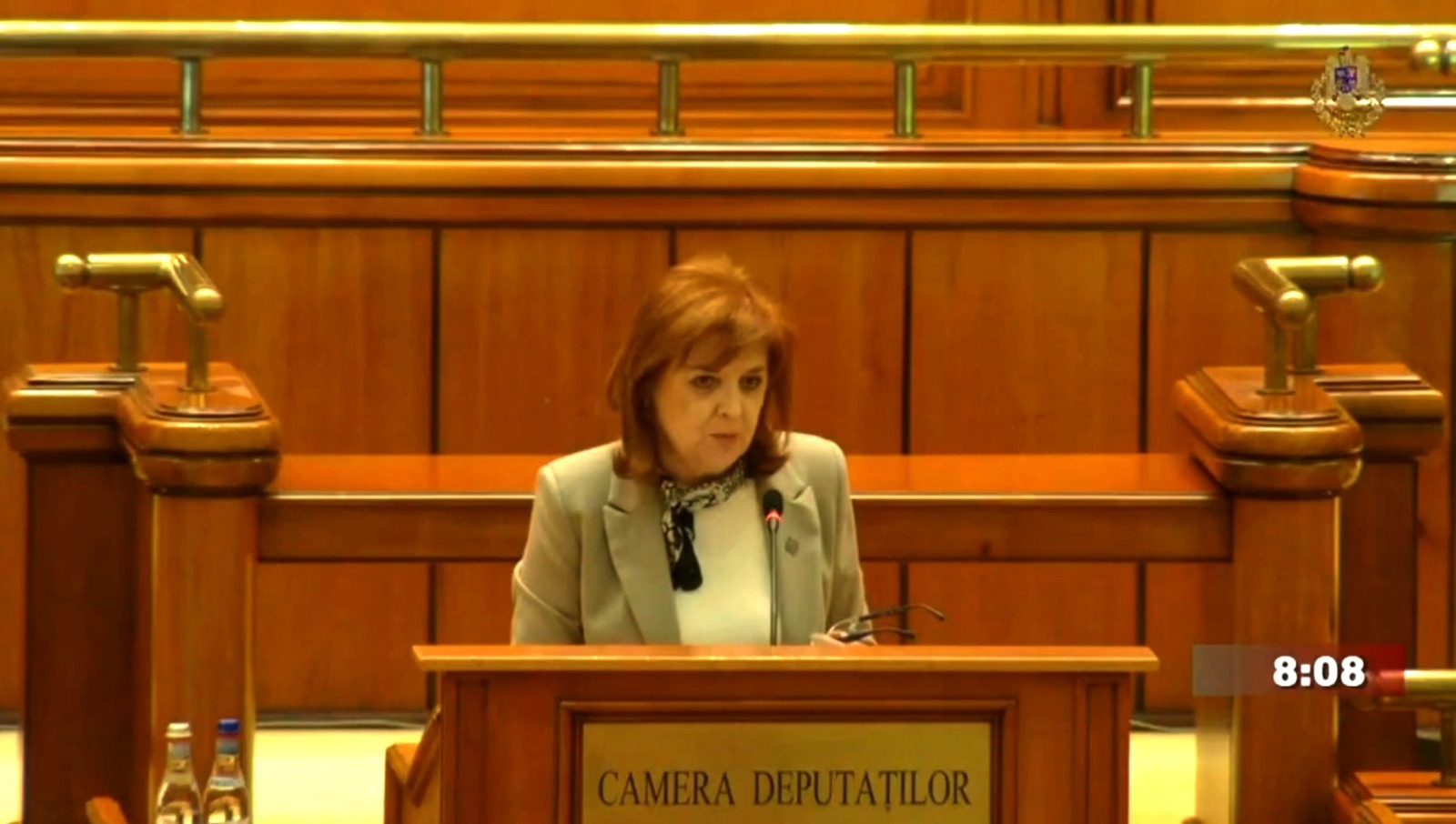 doinita ciocan braila