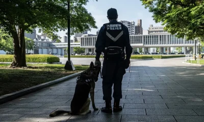 Caz șocant în Japonia: un bărbat și-ar fi incinerat soția la grădina zoologică unde lucra