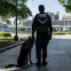 Caz șocant în Japonia: un bărbat și-ar fi incinerat soția la grădina zoologică unde lucra