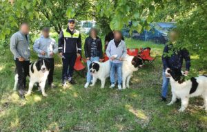 Sfaturi de la polițiști pentru deținătorii de animale, la competiția chinologică din Lacu Sărat