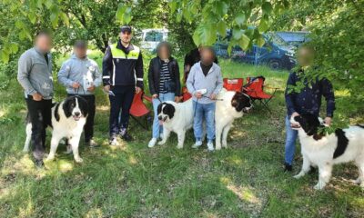 Sfaturi de la polițiști pentru deținătorii de animale, la competiția chinologică din Lacu Sărat