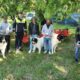 Sfaturi de la polițiști pentru deținătorii de animale, la competiția chinologică din Lacu Sărat