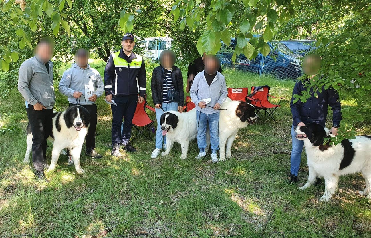 Sfaturi de la polițiști pentru deținătorii de animale, la competiția chinologică din Lacu Sărat