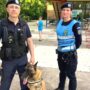 Misiunile jandarmilor brăileni, în weekend