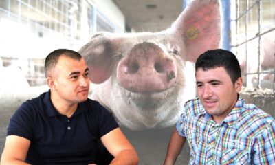 aleandru popa si costica peltea