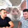 Război politic pe spatele fermierilor
