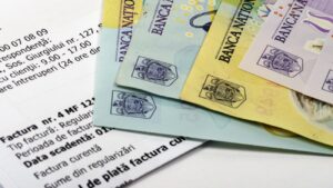Proiect adoptat: facturile pentru bunuri și servicii vor fi calculate la cursul BNR