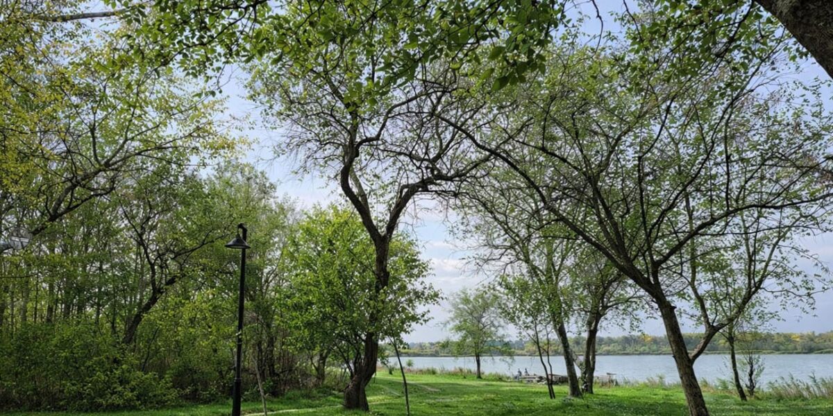 Loc de picnic amenajat în stațiunea Lacu Sărat