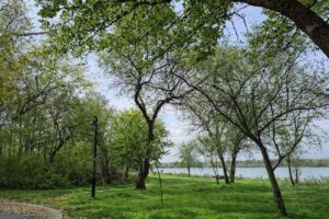 Loc de picnic amenajat în stațiunea Lacu Sărat