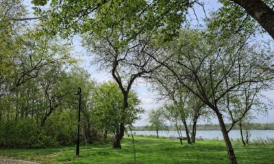 Loc de picnic amenajat în stațiunea Lacu Sărat