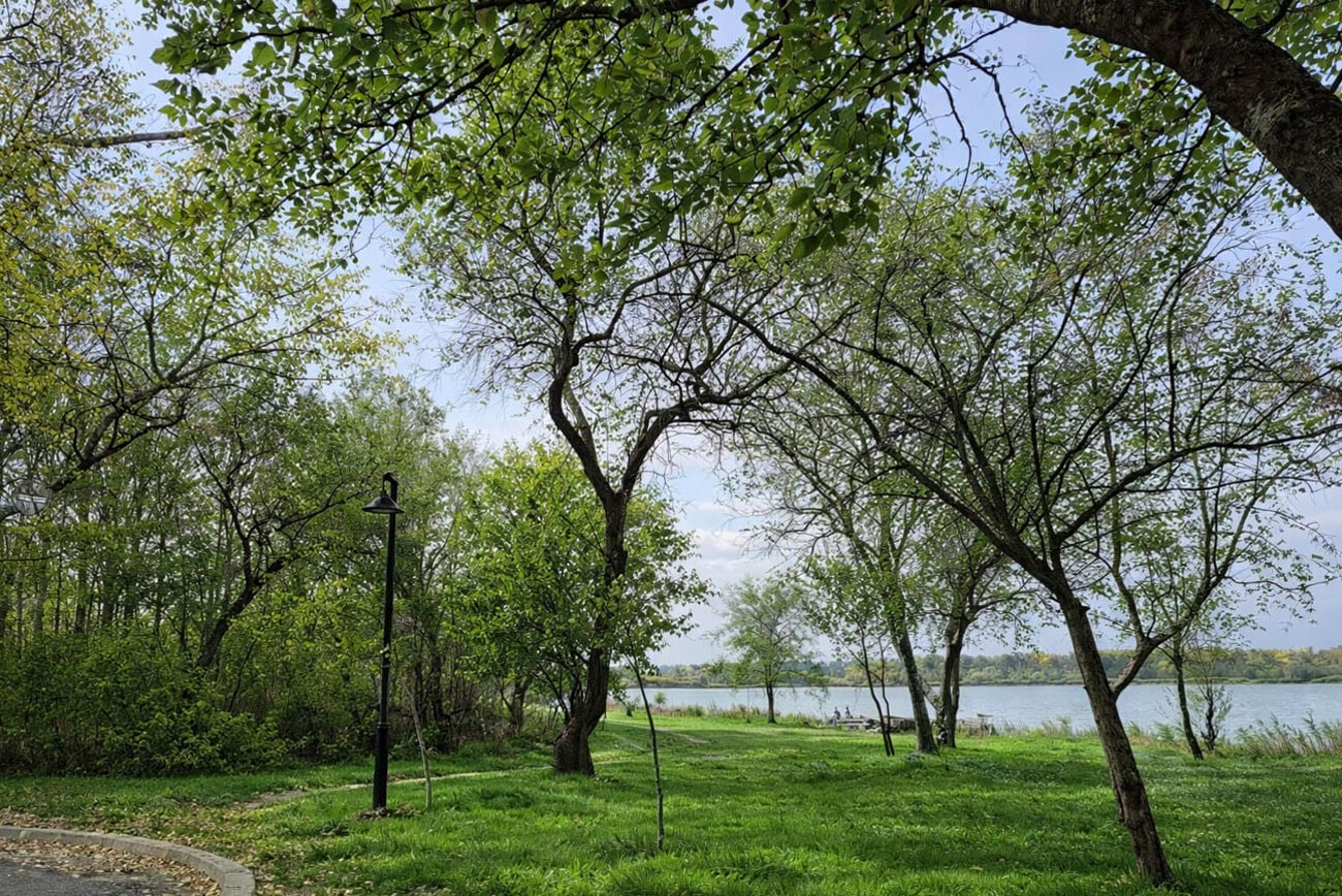 Loc de picnic amenajat în stațiunea Lacu Sărat
