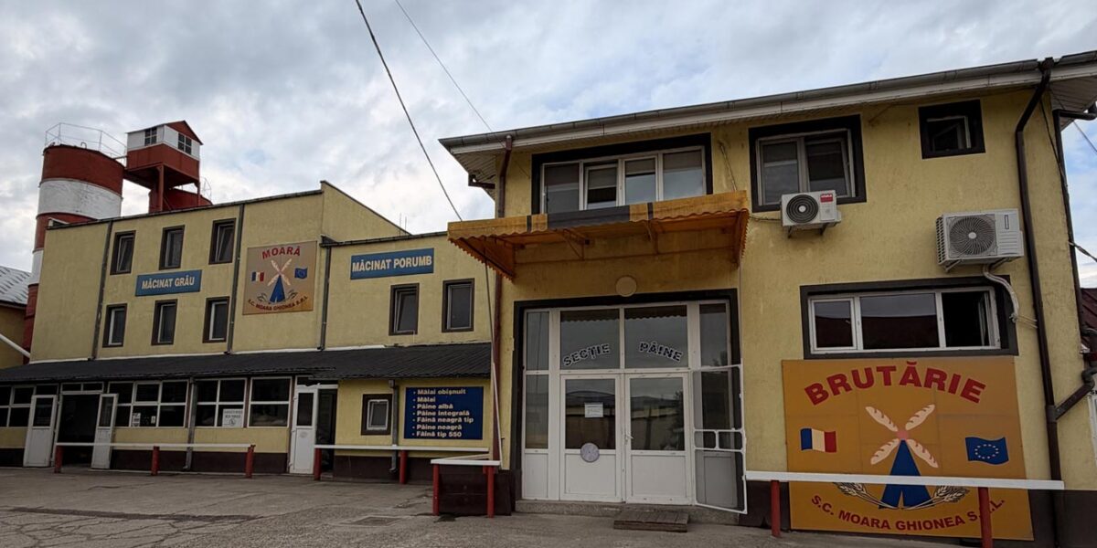 Fabricat în Brăila | Moara Ghionea, locul unde pâinea încă spune o poveste
