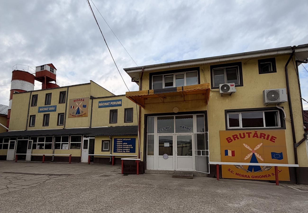Fabricat în Brăila | Moara Ghionea, locul unde pâinea încă spune o poveste