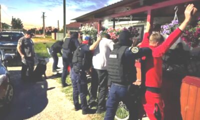 Peste 130 de misiuni desfășurate de jandarmii brăileni într-o săptămână