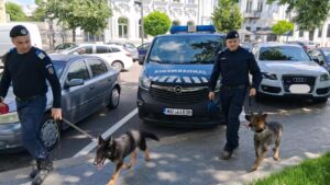 Iz și Zoor, cei mai noi membri ai echipei canine din cadrul Jandarmeriei Brăila