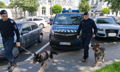 Iz și Zoor, cei mai noi membri ai echipei canine din cadrul Jandarmeriei Brăila